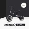 Trikolesnik COLIBRO Tremix 4v1