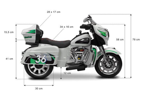 AKUMULATORSKO VOZILO RIOT